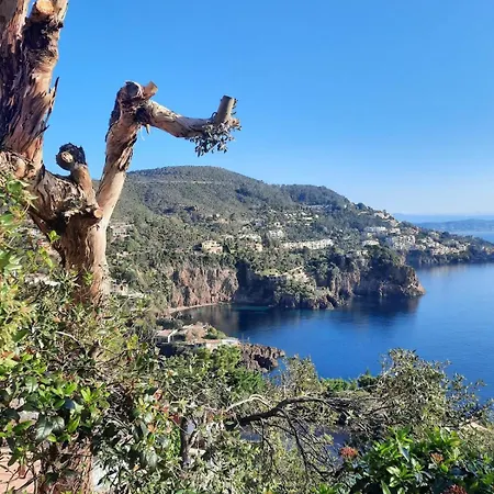 Perle Turquoise * Saint-Raphael (Var)