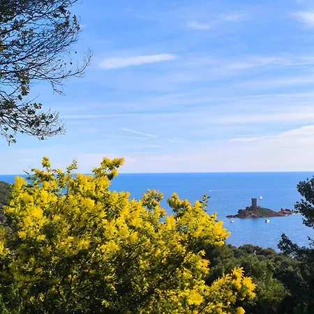 Perle Turquoise * Saint-Raphael (Var)